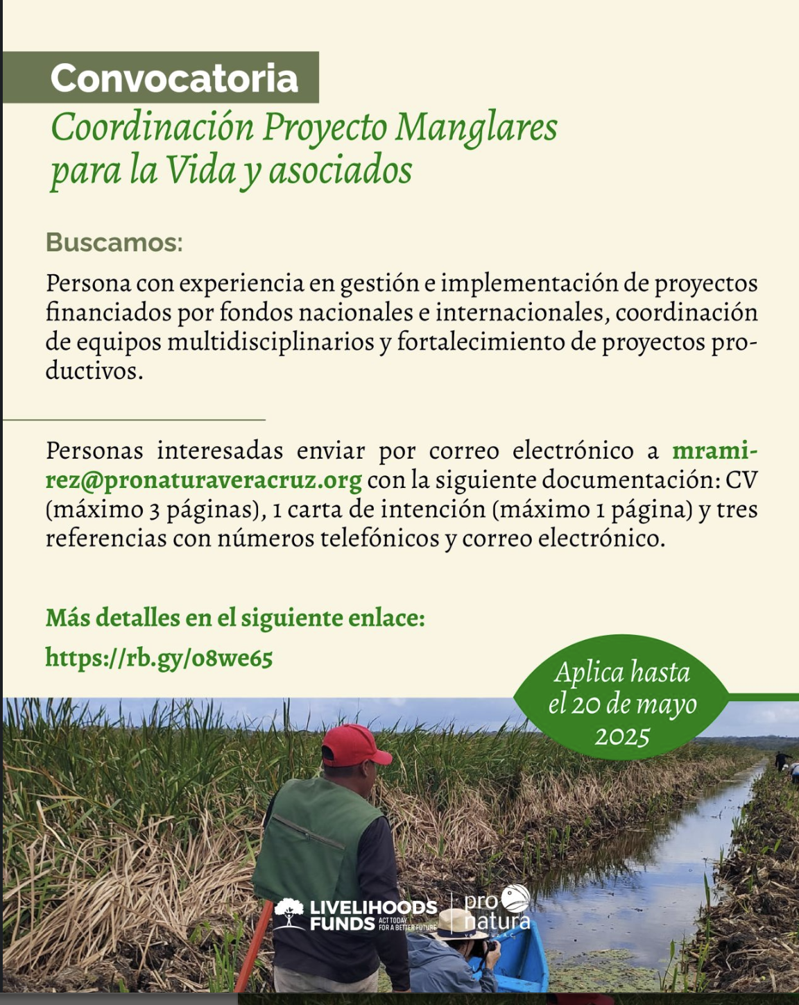 Convocatoria Pronatura Veracruz